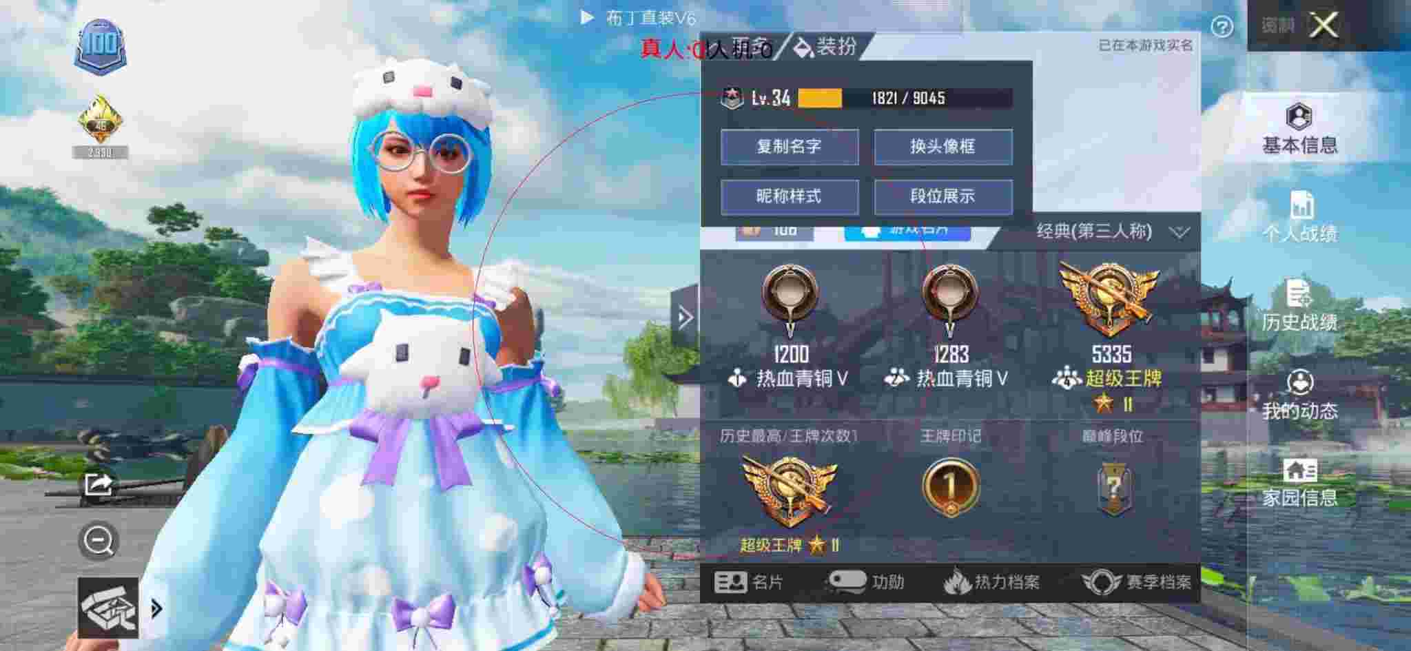 和平精英布丁直装透视 - 和平精英女装内衣辅助预览图